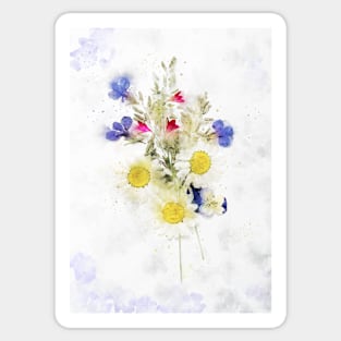 Pressed flowers in a display - Watercolour painting Sticker